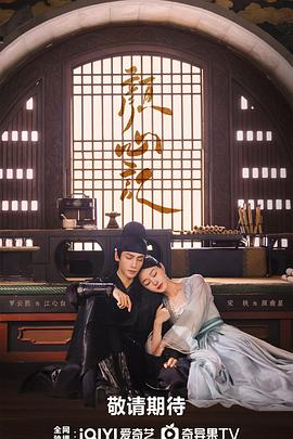 普定县关键词seo排名优化